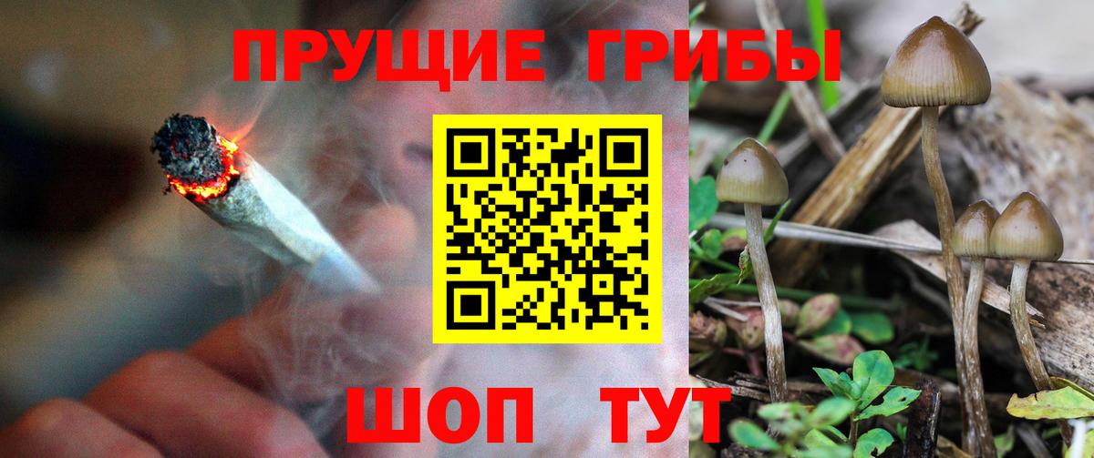 где можно купить   Вход с VPN  Полевской  Псилоцибиновые грибы Magic Shrooms 